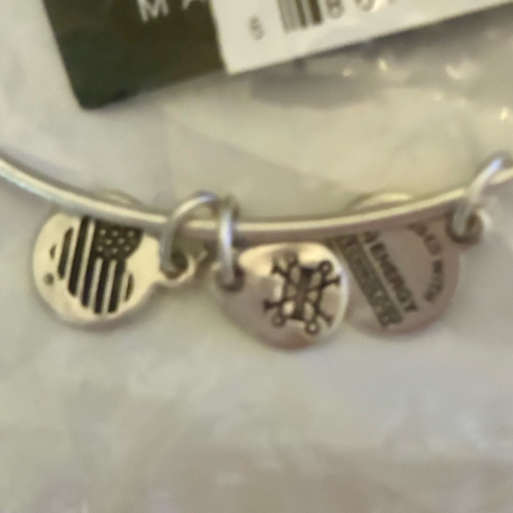 Alex and Ani Silver Tampa Bay Rays Baseball Charm Bracelet - Picture 4 of 9